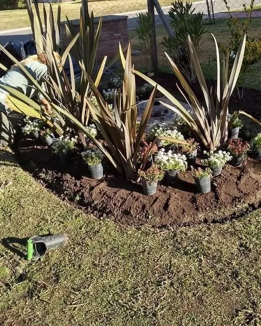 El equipo de Área Verde plantando un cantero circular con formios y flores