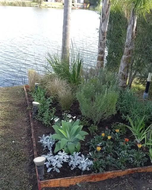 Cantero con gramíneas, agaves y flores a orillas de un lago